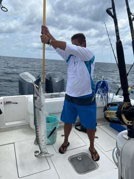 4 hours ocean fishing