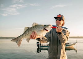 Hybrid & Striped Bass