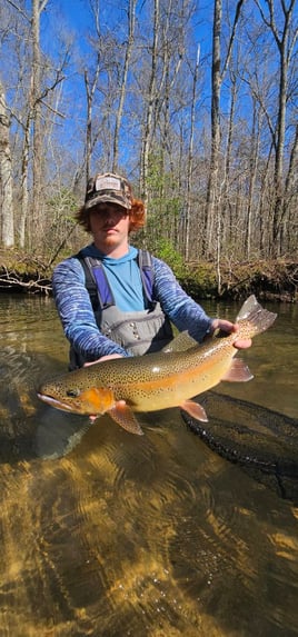 Half day fly fishing experience