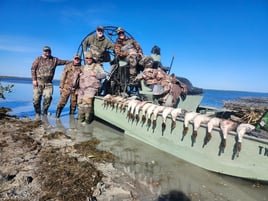 Texas Coast Duck Hunts