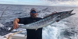 Reel in the Adventure: Key Largo Offshore Fishing