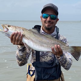 Speckled Trout Fishing in Texas City, Texas