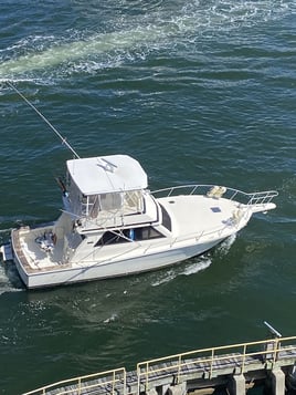 All day exclusive trip