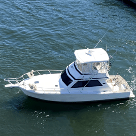 All day exclusive trip