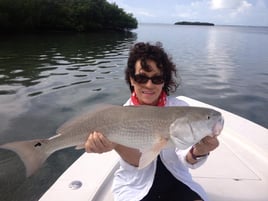 4-8 Hours Fishing Trip - 16'