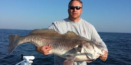 Daytona Beach: Nearshore Reef Fishing