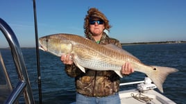 Daytona Beach: Shark Fishing