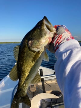 4-8 Hour Trip – Freshwater