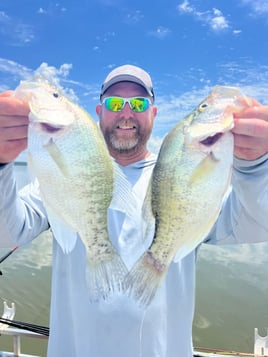 Crappie Fishing Trip