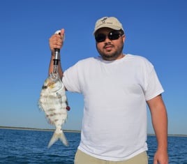 4-8 Inshore Fishing Charter