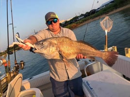 Black Drum Fishing in Galveston, Texas