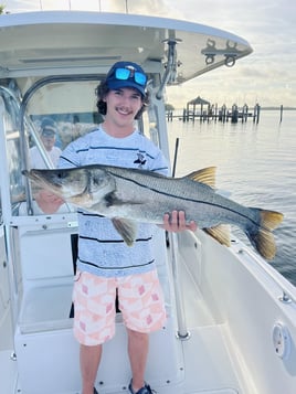 4 Hour Trip – Inshore