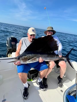 Sailfish Fishing in Jensen Beach, Florida