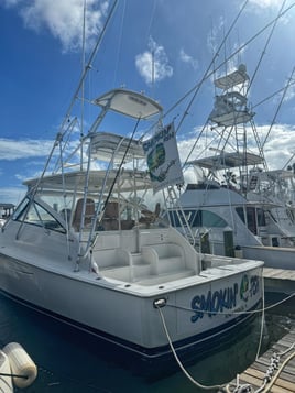 6-9  Hour Offshore Fishing Trip
