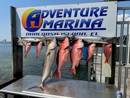 Fort Walton Inshore Spectacular