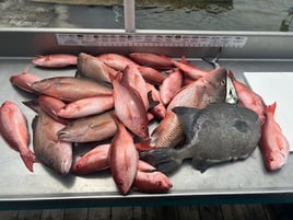 Fort Walton Inshore Spectacular