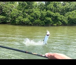 Southwest Florida Backwater Trip