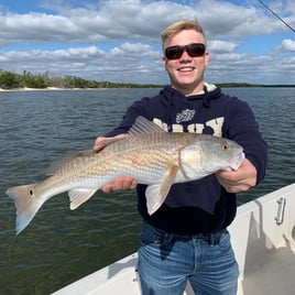 4-8 Hours Fishing Trip - Everglades