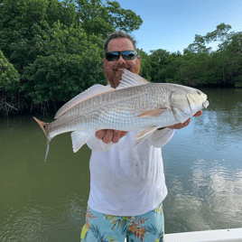 4-8 Hours Fishing Trip - Everglades