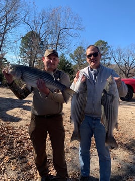 Rogers Arkansas Fishing Trips