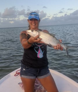 4-8 Hour Fishing Trip