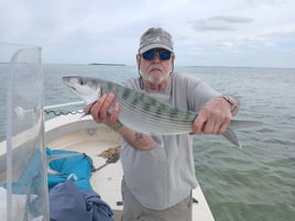 Islamorada Backcountry Or Nearshore