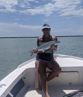 4-8 Hour Fishing Trip