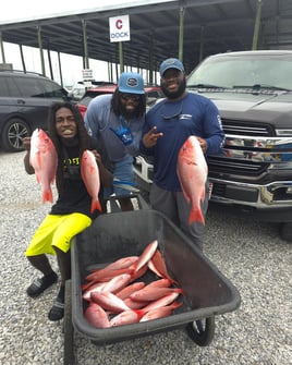 Got The Hook Up Experience