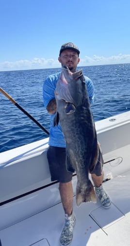 6-8 Hour Trip – Offshore