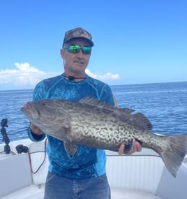 6-8 Hour Trip – Offshore