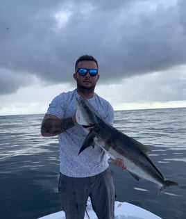 6-8 Hour Trip – Offshore