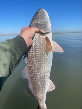 Rockport Inshore & Flats