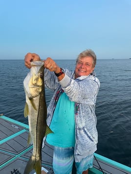 4-8 Hours Inshore Trip