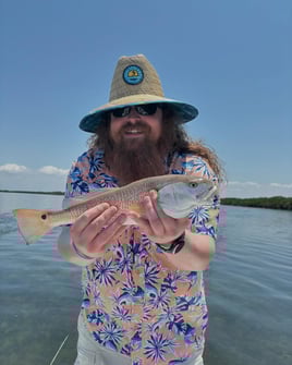 4-8 Hours Inshore Trip