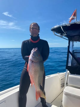 6 hour spearfishing/Lobster