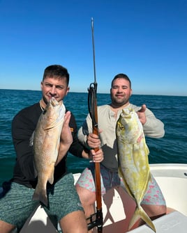 6 hour spearfishing/Lobster