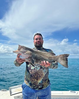 6 hour spearfishing/Lobster