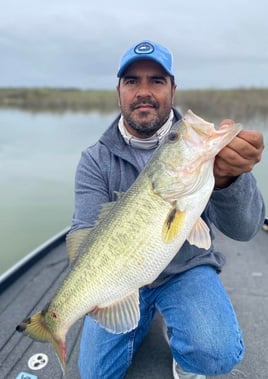 Lake Falcon Fishing Trip