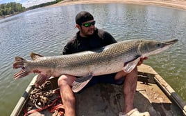 Bank Alligator Gar