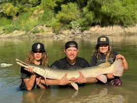 Bank Alligator Gar