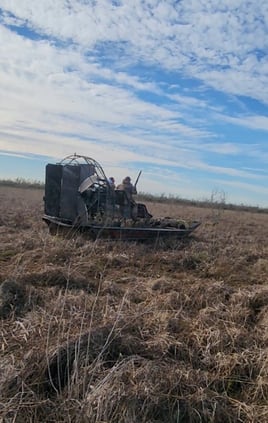 Airboat Hog Hunts