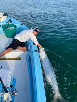 4-8 Hour Trip – Tarpon