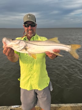 Redfish, Rockets & Speckled Trout & More!
