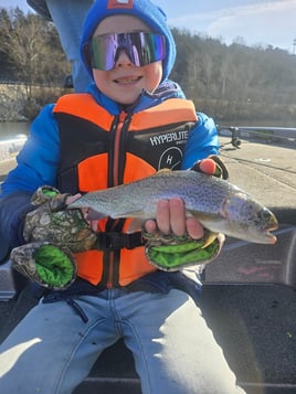 Trout Fishing In Lake Taneycomo