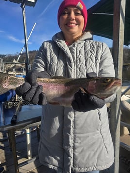 Trout Fishing In Lake Taneycomo
