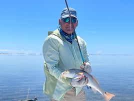 South Padre On The Fly