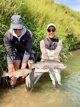 Creek Rainbow Trout