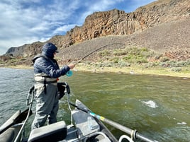 Fly Fishing For Lahontan Cutthroat