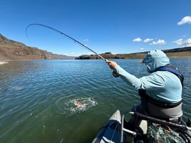 Fly Fishing For Lahontan Cutthroat