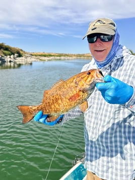 Fly Fishing For Bass